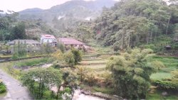 Rudy Anthony | Agen Properti GadingPro