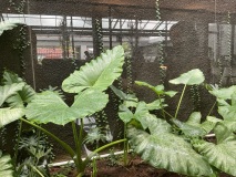 Lala Smart Property | Agen Properti GadingPro