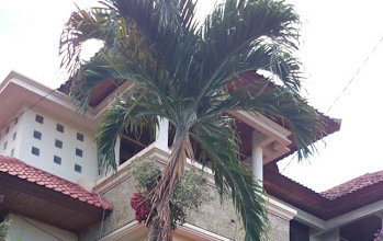 Rumah Dijual di Denpasar Barat, Denpasar, LB 350m², Harga Terbaik!