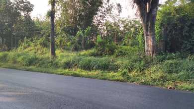 Dijual Tanah Premium di Purwodadi, Pasuruan, LT 7200m²