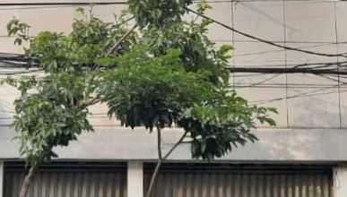 Ruko, 3 Lantai Dharmahusada Cocok untuk Usaha Perkantoran,Dll