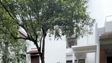 Rumah Mewah di BSD De Park, Tangerang, 4 KT, LT 324m²