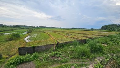 Kavling Prestisius Dijual di Subang, Subang, Harga 140 Miliar