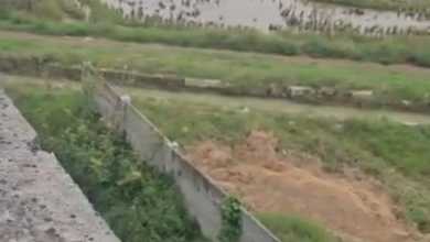 Tanah Elit Dijual di Subang, Subang, Harga 243 Miliar