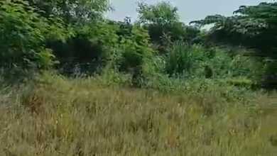 For Sale Tanah Eksklusif di Gunung Sindur, Bogor, LT 43404m²