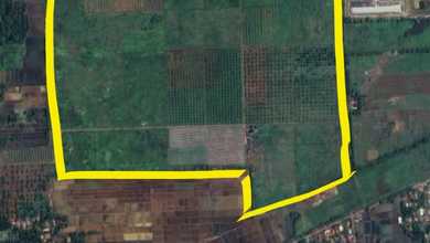 Tanah Elit Dijual di Pamanukan, Subang, Harga 204 Miliar