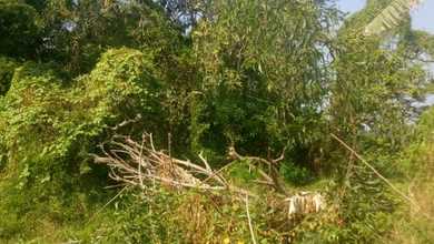 Jual Tanah di Komplek Karawang Barat Pemandangan Danau dan Taman