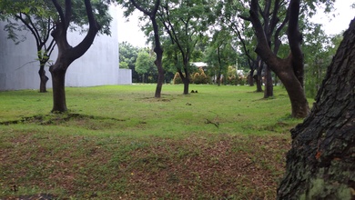 Kavling Prestisius Dijual di Pantai Indah Kapuk, Jakarta Utara, Harga 23 Miliar