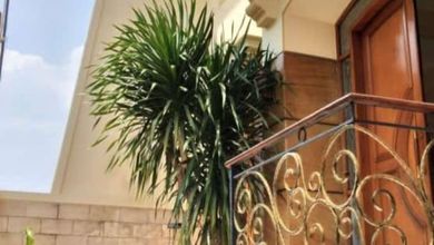 Kesempatan Eksklusif, rumah Prestisius di Rawamangun, Jakarta Timur, LB 300m²