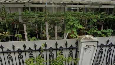 Rumah Elite di Kawasan Rawamangun, Jakarta Timur, LB 168m², Harga 6,75 Miliar