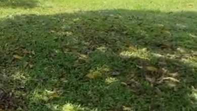 Dijual Tanah Eksklusif di Citra Grand, Jakarta Timur, LT 502m²