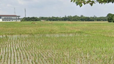 Tanah Elit Dijual di Rangkasbitung, Lebak, Harga 1,5 Triliun