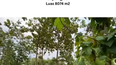 Tanah Elit Dijual di Bojonegoro Kota, Bojonegoro, Harga 39,5 Triliun