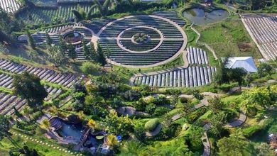 Tempat Wisata Bagus Lembang Farm Butuh Cepat