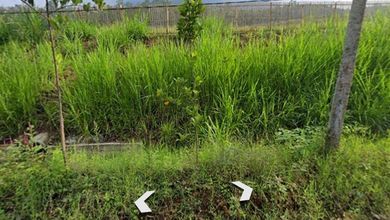 For Sale Tanah Eksklusif di Batu, Malang, LT 50000m²