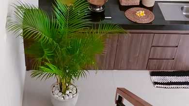 Sewa Rumah Terbaik di Denpasar Barat, Denpasar, Harga Terjangkau