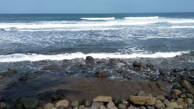 For Sale Tanah Eksklusif di Pekutatan, Jembrana, LT 14000m²