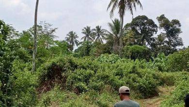 Jual Tanah Lokasi Strategis, Luas 20000 m2