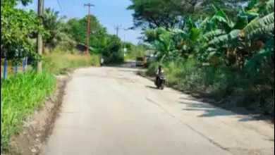 Jual Tanah di Komplek Rumpin Pemandangan Danau dan Taman