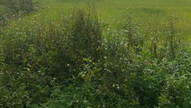Dijual Tanah SHM di Legok, Tangerang