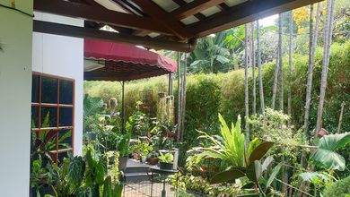 For Sale rumah Mewah di Pulomas, Jakarta Timur - LT 450m²