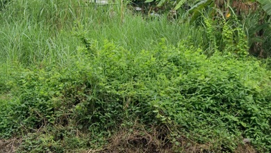 For Sale Tanah Eksklusif di Gayungan, Surabaya, LT 346m²