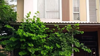 Rumah Dijual di Gading Serpong, Tangerang, LB 68m², Harga Kompetitif!