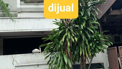 Penawaran Eksklusif, rumah Mewah di Tubagus Angke, Jakarta Barat, LB 250m²