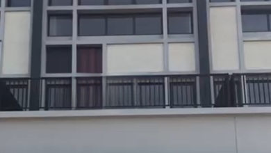 Disewa Ruko Melody 2 Di Gading Serpong