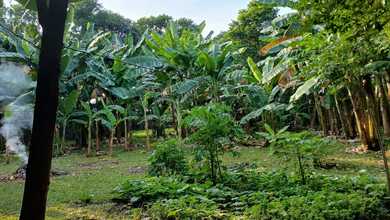 Dijual Tanah Premium di Lebak Bulus, Jakarta Selatan, LT 2402m²