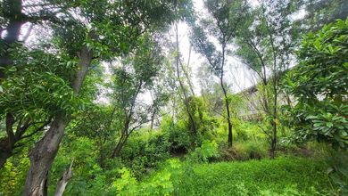 For Sale Tanah Premium di Cikande, Serang, LT 40000m²