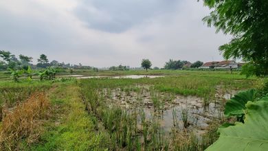 For Sale Tanah Eksklusif di Cikande, Serang, LT 150000m²