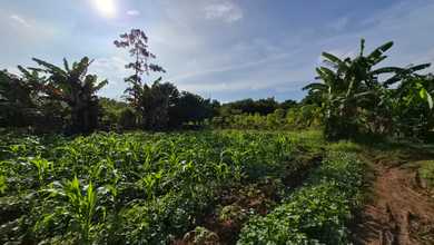 Tanah Elit Dijual di Jatake, Tangerang, Harga 200 Miliar