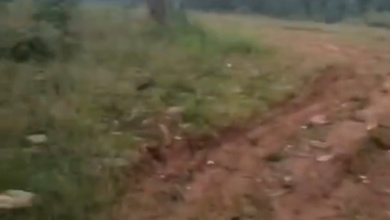 Kavling Prestisius Dijual di Parung Panjang, Bogor, Harga 3,92 Miliar