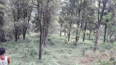 Jual Tanah Area Strategis, Luas 94359 m2