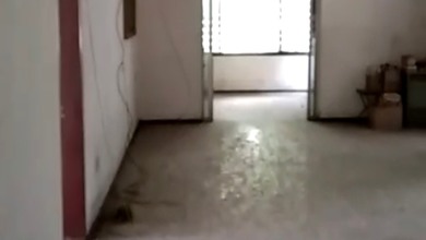 Hunian Prestisius di Kawasan Menteng, Jakarta Pusat, LB 500m², Harga 80 Miliar