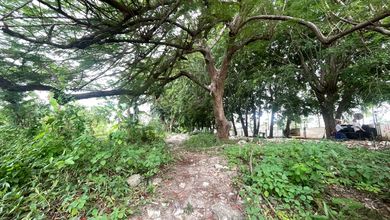 Disewakan Tanah Strategis di Kedoya, Jakarta Barat, Lokasi Prime