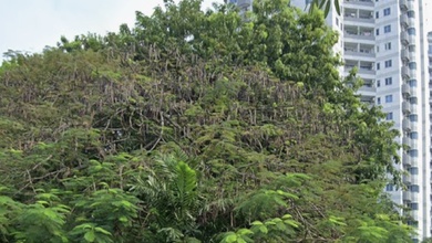 Disewakan Tanah Strategis di Kedoya, Jakarta Barat, Lokasi Prime