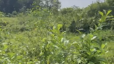 Tanah Elit Dijual di Purwakarta Kota, Purwakarta, Harga 93,6 Triliun