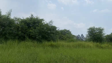 Tanah Elit Dijual di Jababeka, Bekasi, Harga 450 Miliar