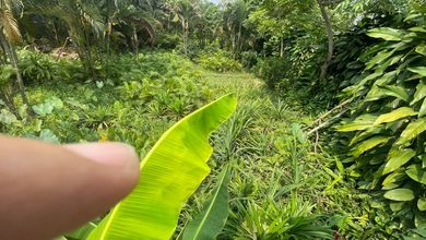 Kavling Prestisius Dijual di Meruya, Jakarta Barat, Harga 624 Miliar