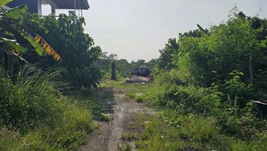 Kesempatan Tanah Murah di Tulikup, Gianyar, Luas 500m²