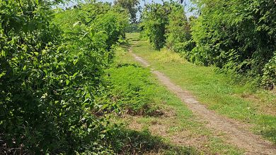 Jual Tanah Sederhana di Area Kemenuh, Gianyar