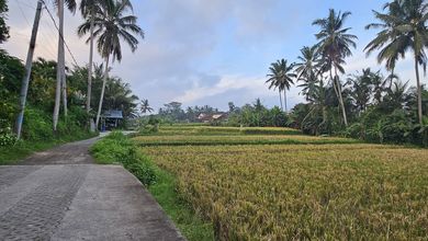Jual Tanah Sederhana di Area Ubud, Gianyar