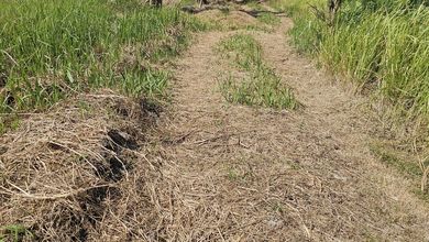 Tanah Strategis di Lodtunduh, Gianyar, Harga 18 Juta