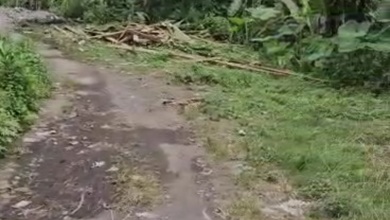 Tanah Harga Hemat di Ubud, Gianyar, Harga 25 Juta