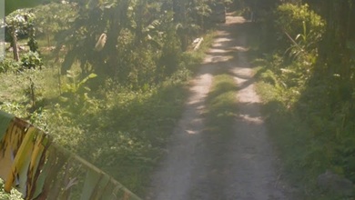 Kavling Sewa Harga Ekonomis di Saba, Gianyar