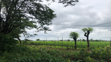 For Sale Tanah Eksklusif di Cikande, Serang, LT 300000m²