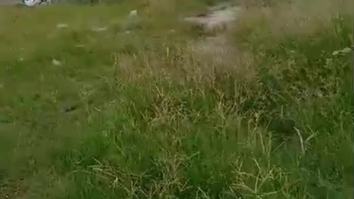 Tanah Elit Dijual di Balaraja, Tangerang, Harga 26 Miliar