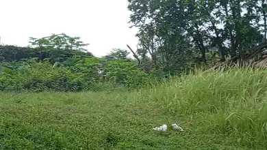 Kavling dengan Nilai Murah di Cileungsi Bogor